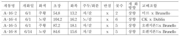 우수계통 특성