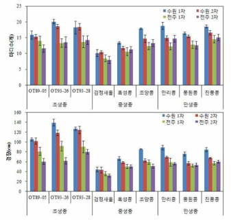 품종별 경장 및 마디수 비교