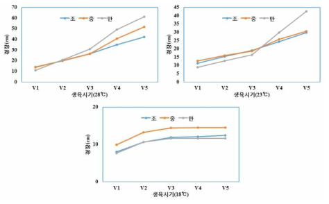 단일조건(10시간)하의 생육시기별 생장속도