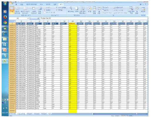 콩 품종별 180k soybean SNP array에 의한 콩 품종의 genotyping 결과