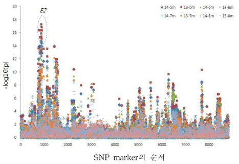 콩 염색체 10번에서의 2개년 4조사기기에 땨른 개화일수와 marker간의 F-test 결과