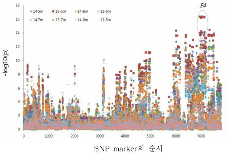 콩 염색체 20번에서의 2개년 4조사기기에 땨른 개화일수와 marker간의 F-test 결과