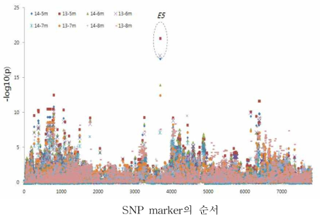 콩 염색체 3번에서의 2개년 4조사기기에 땨른 개화일수와 marker간의 F-test 결과