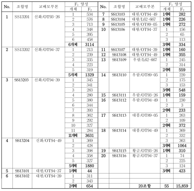 F1 양성 결과(F2): 20조합 55개체