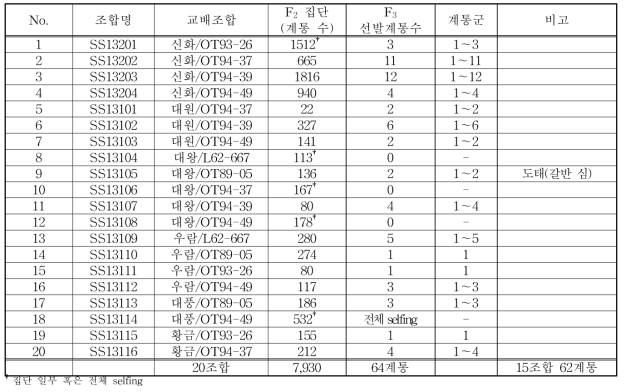 교배조합별 분리세대(F2) 전개 및 F3 계통 선발 결과