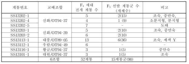 F5 계통 선발 내역