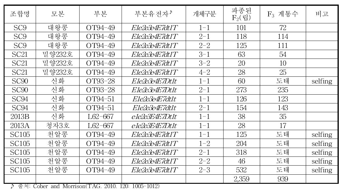 F3 계통 육성 결과