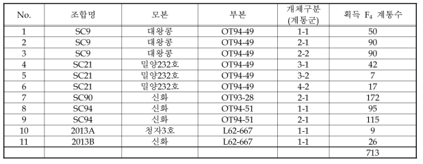 F4 계통 육성 결과