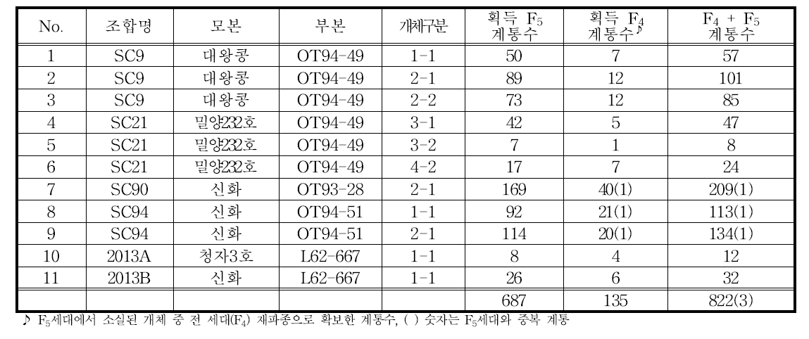 F5 계통 육성 결과