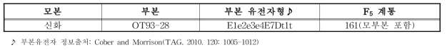 F5 개화특성 조사 및 F6 RIL 양성