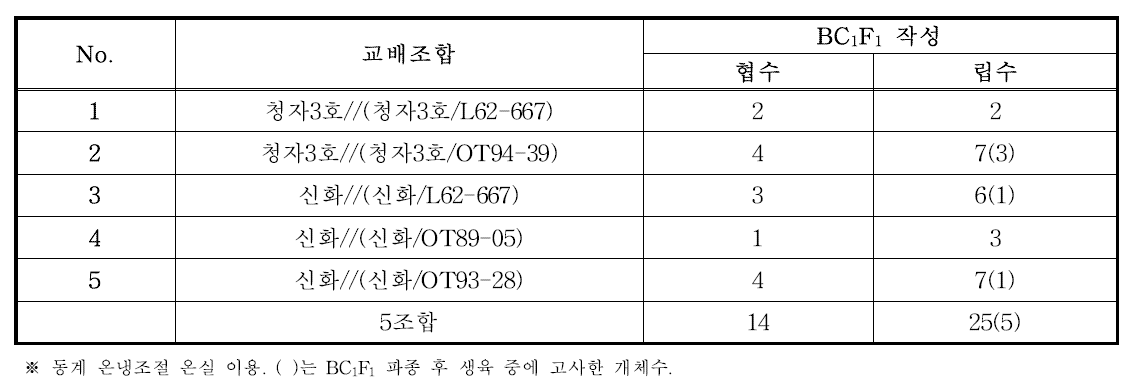 1회 여교배 결과(BC1F1): 5조합 14협 25립