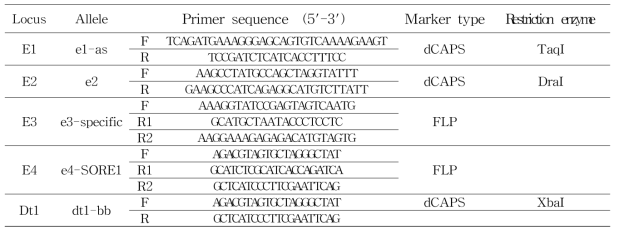 개화유전자형 확인을 위한 프라이머 정보