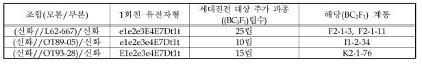 BC3F2 획득을 위한 BC3F1 계통 추가 파종 내용