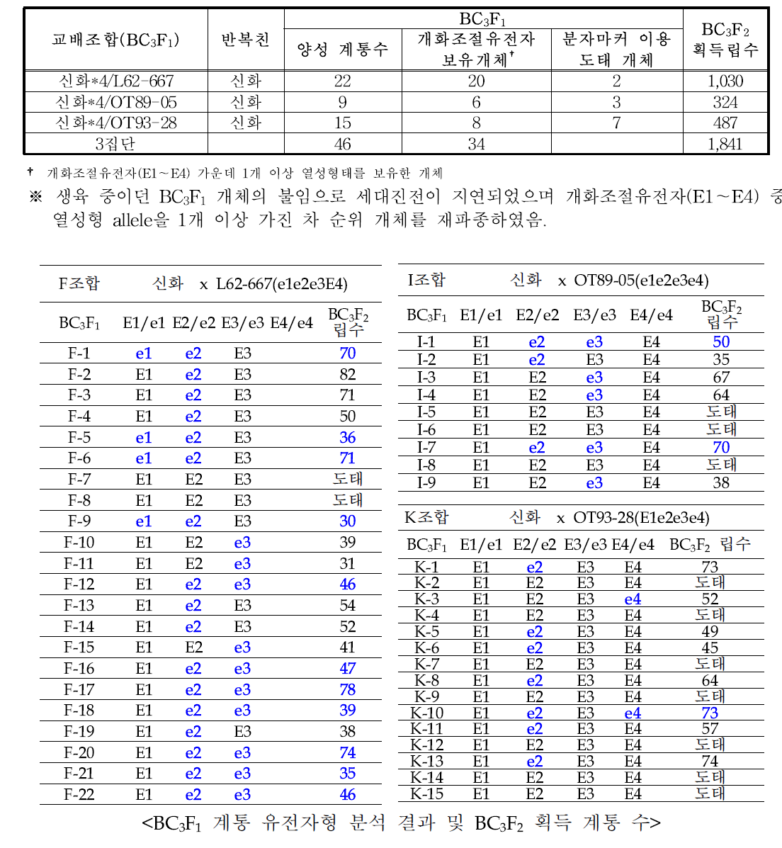 개화조절유전자 보유 여교배 계통 개발(BC3F1)