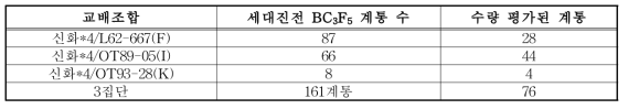 개화조절유전자 보유 여교배 계통의 세대진전(BC3F4～BC3F5)