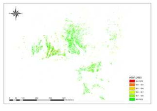 브라질 마토그로소 주의 콩-옥수수 2모작 지대의 NDVI(DOY 113) 분포(2013)