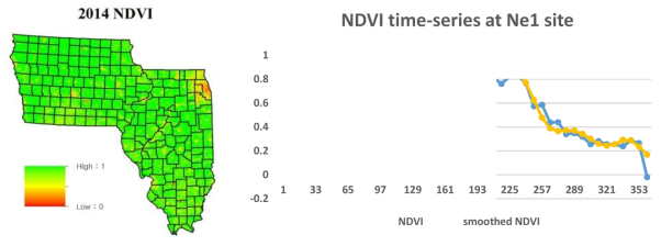 2014년 미국 사례연구지에 대한 생산한 고품질 NDVI 식생지수(좌)와 Ne1 연구지에 대한 시계열 비교 결과(우): 시계열은 원자료 NDVI 시계열(NDVI)와 S-G필터를 적용한 평활된 시계열(smoothed NDVI)를 비교함. [2차년 연차보고서 결과 인용]