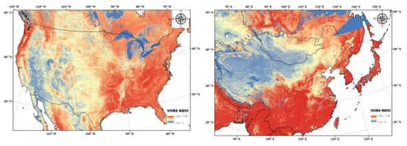 2014년 9월 30일에 대한 미국 전역(좌)와 동북아시아(우) 연구지에 대해 타일 형식의 VIIRS NDVI 병합 이미지 예시 결과 [2차년 연차보고서 결과 인용]