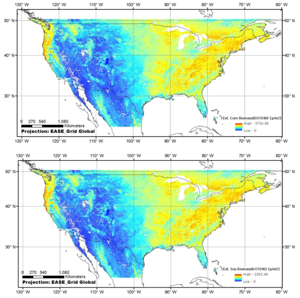 미국 사례연구지에 대해 MODIS 전천후 기상자료 기반의 생물리 모형을 적용한 작물 건중량 지도 제작결과. 2016년 DOY 240일(8월 27일)에 해당하는 옥수수(상단)와 콩(하단) 건중량 지도 [3차년 연차보고서 결과 인용]