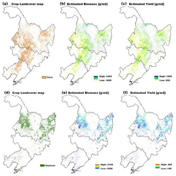 미국 연구지에서 개발, 평가된 조기예보기술을 적용하여 중국 동북3성지역의 2015년 수확량(g/m2) 추정 결과. (a)옥수수 작물구분도, (b)옥수수 추정 건중량, (c)옥수수 추정 수확량, (d)콩 작물구분도, (e)콩 추정 건중량, (f)콩 추정 수확량 [3차년 연차보고서 결과 인용]