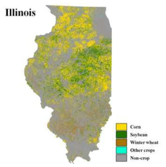 2013년 Illinois 주 대상 계층 기반 분류 방법론의 분광정보 기반 분류 결과