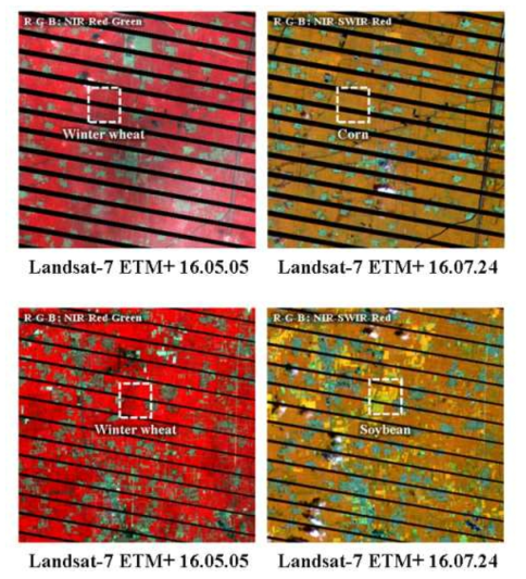 중국 산동성 대상 다중시기 Landsat 영상을 이용한 겨울밀 이모작 재배지역의 분광반사 특성 분석