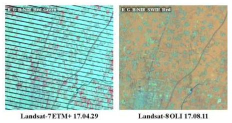 중국 산동성 대상 다중시기 Landsat 영상을 이용한 옥수수의 분광반사 특성 분석