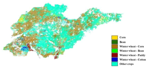 중국 산동성 대상 2010년 최종 작물 구분도