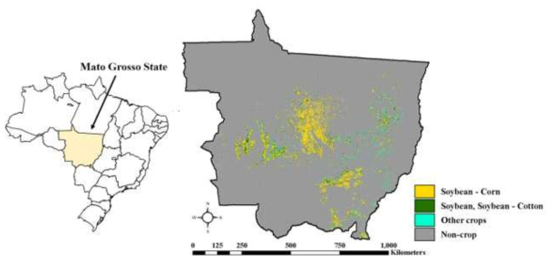 농업정책 수요지역 대상 지역: 브라질 마토그로소 주 (2007년 작물 구분도 제작 결과)