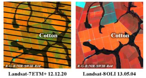 브라질 마토그로소 주 대상 목화 단일 재배지역의 시계열 Landsat 자료 분광 패턴