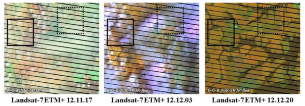 브라질 마토그로소 주의 콩 재배지역에 대한 다중시기 Landsat 영상의 분광 패턴 분석