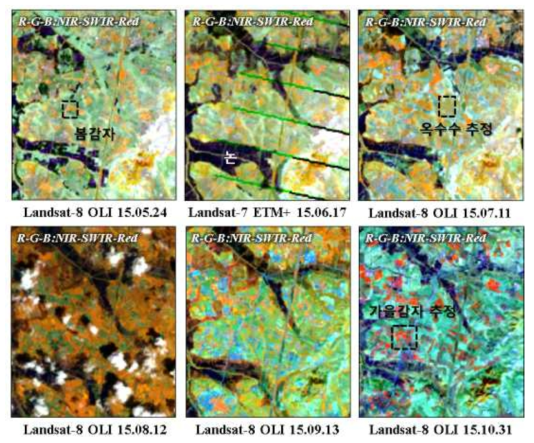 강남 지역 2015년 Landsat 영상 기반 작물 추정 예시