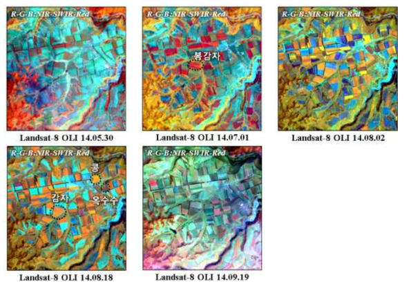 대홍단 지역 2014년 Landsat 영상 기반 작물 추정 예시