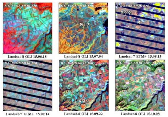 대홍단 지역 2015년 Landsat 영상 기반 작물 추정 예시