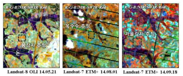 강남 지역 Landsat 시계열 영상자료를 이용한 작물별 특성 예시