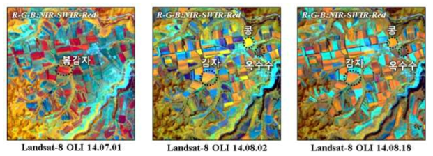 대홍단 지역 Landsat 시계열 영상자료를 이용한 작물별 특성 예시