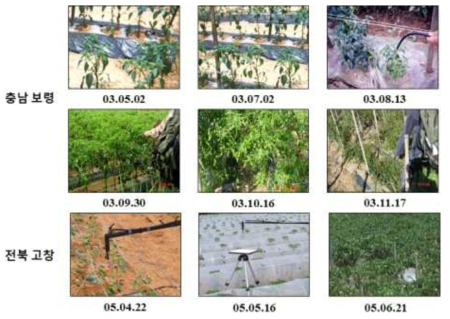 고추재배지역 2003년, 2005년 시계열 사진