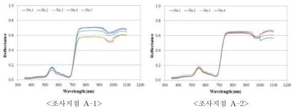 배추에 대한 분광반사율 변화 특성