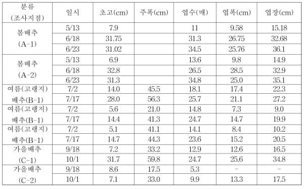 배추 생육인자 변동