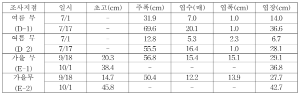 무 생육인자 변동