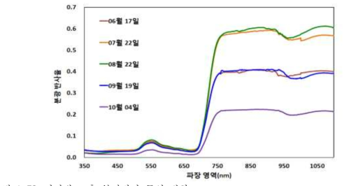 시기별 고추 분광반사 특성 변화