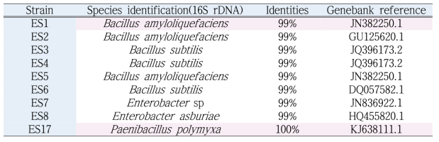 선발 균주의 16S rDNA 분석 결과