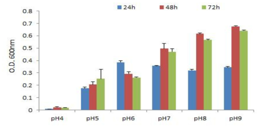 0.5% 당밀배지에서 pH조건별 Paenibacillus ES17균주 생육특성