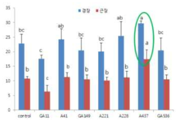 종자 생육촉진 효과 확인