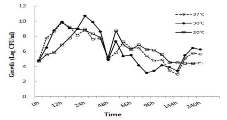 P. polymyxa E681의 생장곡선