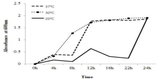 온도가 E681균주 초기 생장 속도에 미치는 영향. TSB 배지에 24시간 배양하는 동안 시간별로 균배양액을 600 nm 흡광도에서 측정. 30도와 37도 에서 12시간 배양 시 stationary phase에 도달함