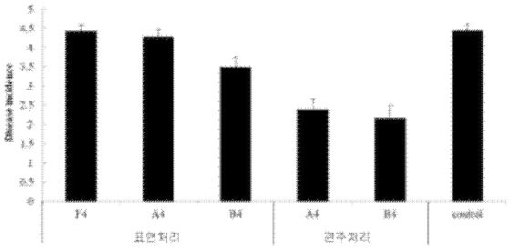 선발균주 액상제형을 이용한 묘삼 표면처리 및 관주처리시 인삼뿌리썩음병 병 발병도. A4 :AK-0균주의 L4액상제형, B4: YGB6균주의 L4액상제형, F4: AK-0균주의 L4액상제형+정향제제