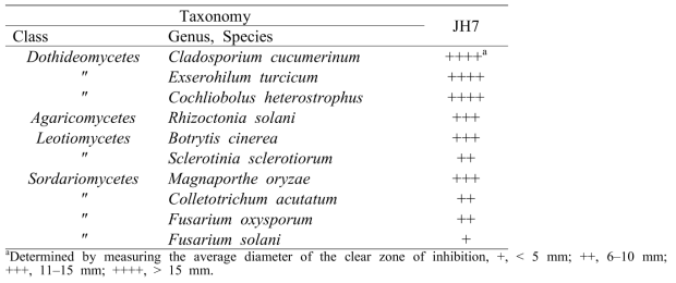 Choromobacterium sp. JH7의 항균활성 스펙트럼 검정