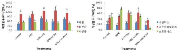 유기물 장기연용 시험 논토양의 미생물상 분석