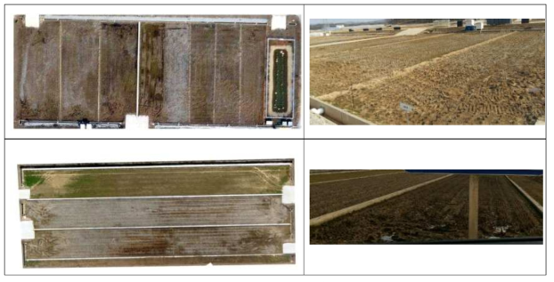 경운하지 않은 논 영상사진 (좌 : RGB 영상; 우 : 포장상태)
